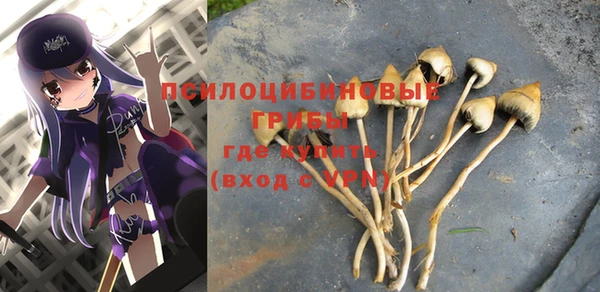 гидра Алексин