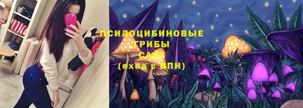 гидра Алексин