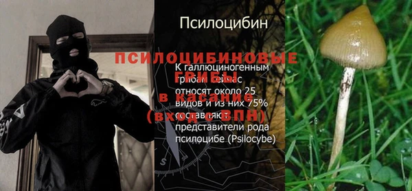 гидра Алексин