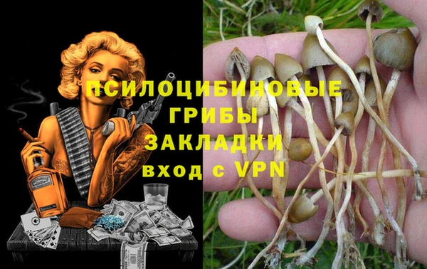 мет Алексеевка