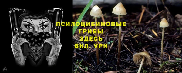 марки nbome Алзамай